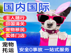 营口航空物流国际宠物托运 【国